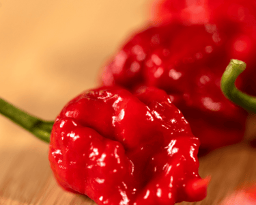 Carolina Reaper Super-Hot Pepper Seeds